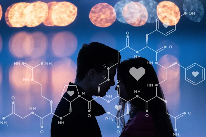 Научное объяснение любви