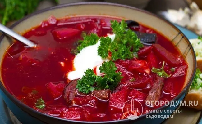 Сочную молодую ботву традиционно используют для приготовления летних холодных супов – свекольников