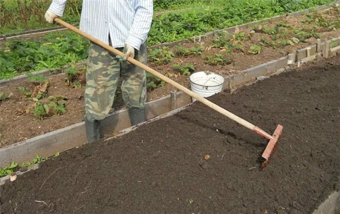 подготовка почвы под клубнику