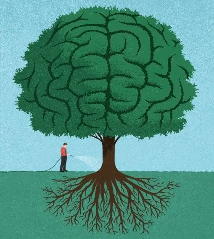 Тест на проверку интеллекта “Мозговая тренировка”: вопросы для развития логического мышления