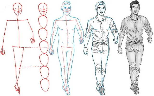Туториалы по рисованию человека для начинающих. Анатомия