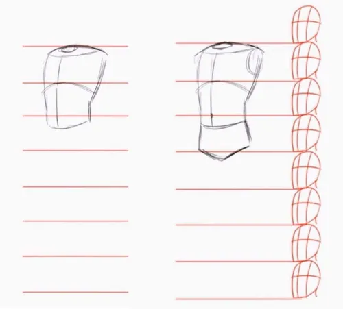 Туториалы по рисованию человека для начинающих. Анатомия