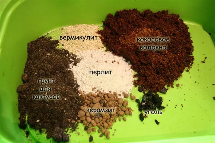 составляющие ингредиенты для почвы кактусам