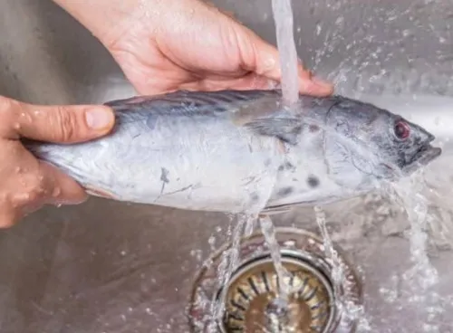 Промывание замороженной рыбы