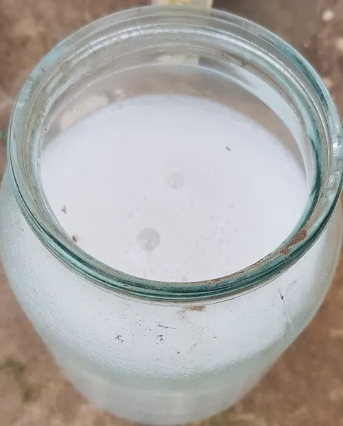 Доломитовое молоко