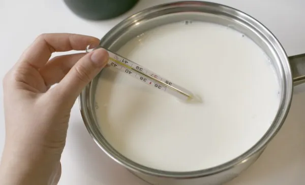 Йогурт без йогуртницы из натурального молока. Рецепт в домашних условиях