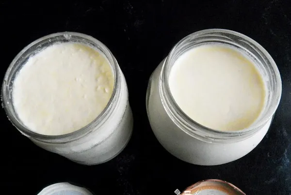 Йогурт без йогуртницы из натурального молока. Рецепт в домашних условиях