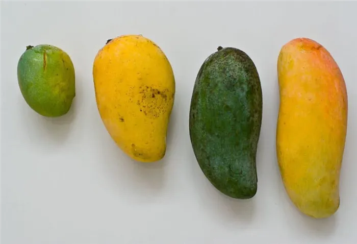 Различные виды фруктов манго