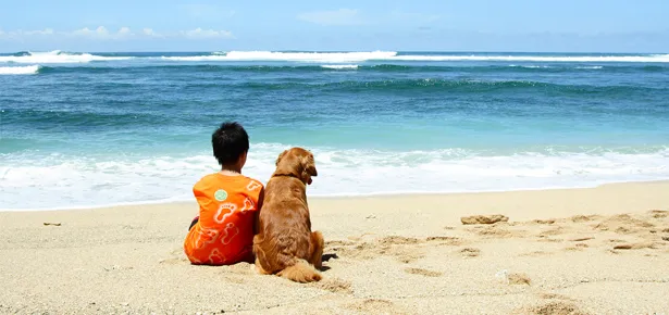 Ребенок и собака на берегу моря фото