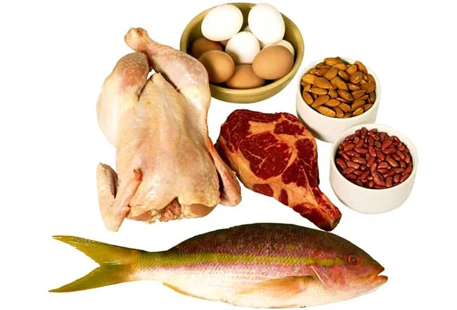 Продукты, которые содержат полноценный белок (протеин)