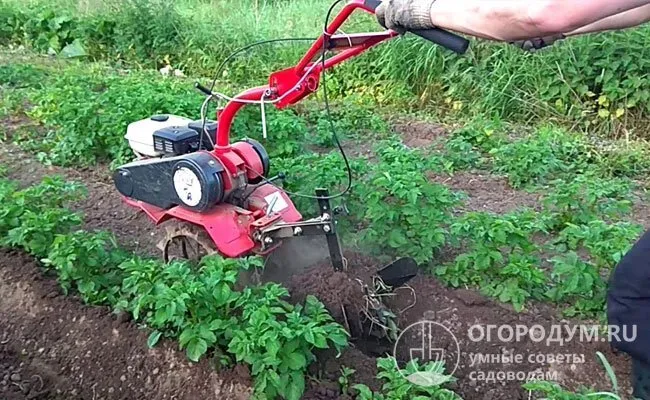 Различное навесное оборудование предназначено для посадки картофеля и для последующего ухода: окучивания грядок, рыхления почвы и механизированной уборки урожая