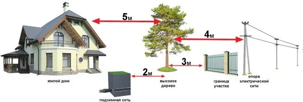 Схема посадки плодового дерева