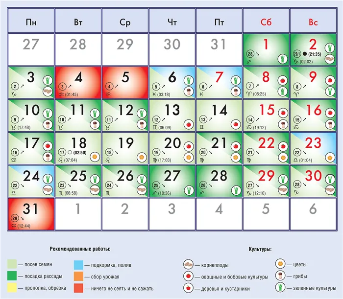 Посевной календарь на январь 2022 года