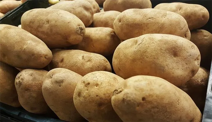 Как прорастить картофель для посадки – 5 способов на выбор - фото