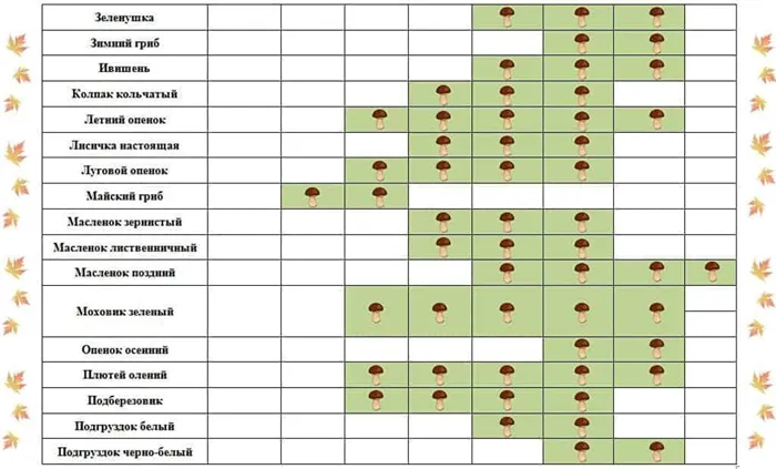 календарь роста грибов по месяцам фото 2