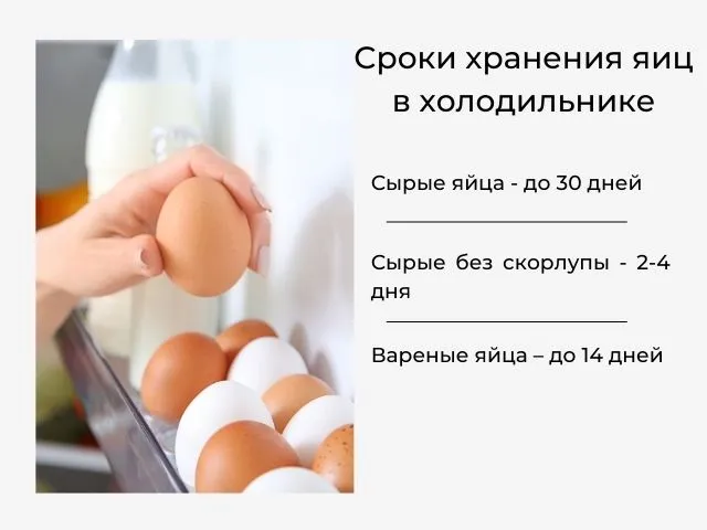 сроки хранения яиц