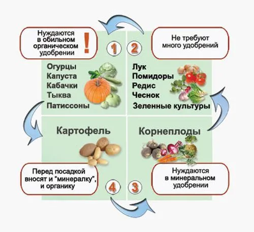 Овощи и удобрения