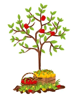 Подкормка яблонь весной для хорошего урожая