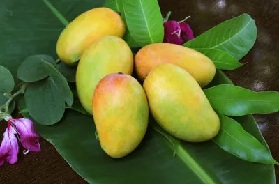  Как едят манго