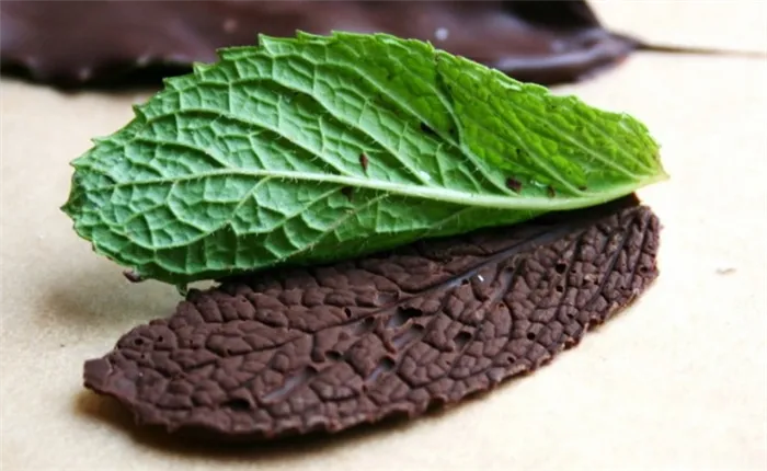 как сделать листик из шоколада