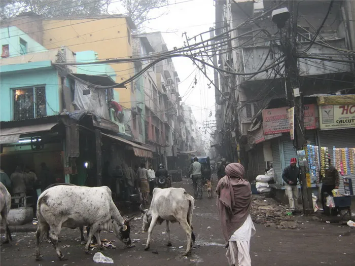 индийские трущобы, обратная сторона Индии, условия жизни Индия