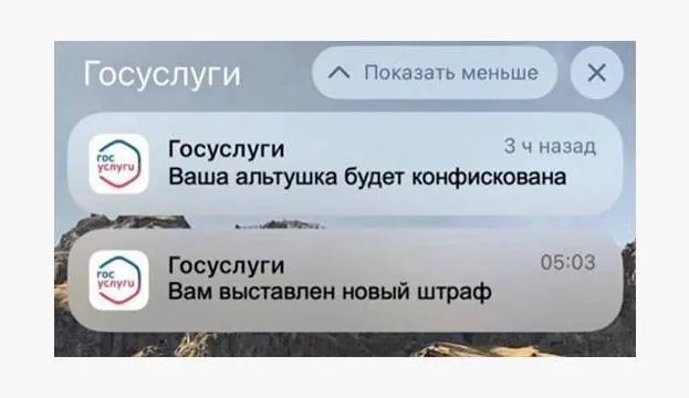 Альтушка с Госуслуг