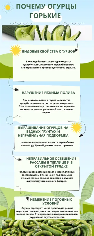 Почему огурцы горькие