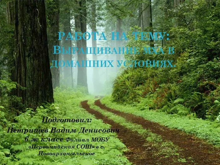 работа на тему: Выращивание мха в домашних условиях. Подготовил: Петрищев Ва. 