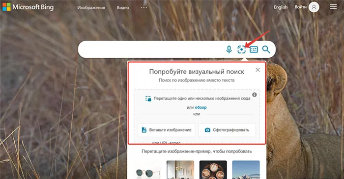 Визуальный поиск через Bing