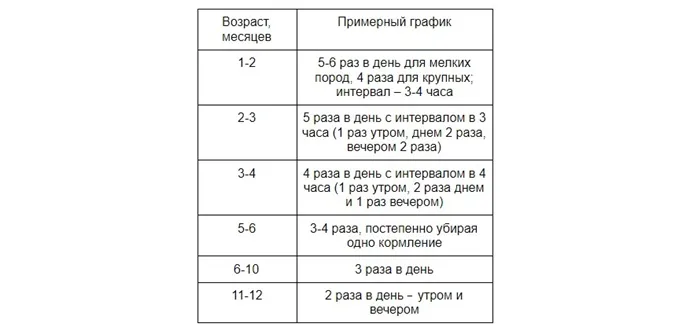 Сколько кормить собаку в день