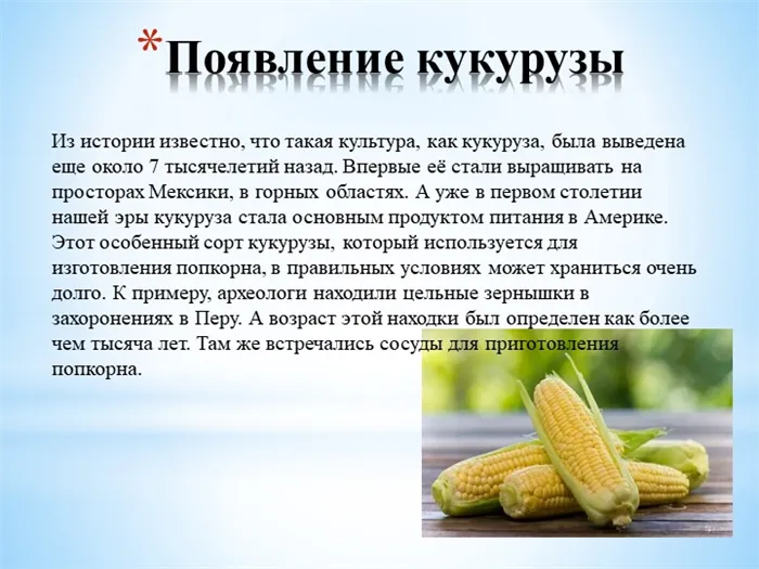 Появление кукурузы