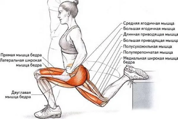 Замеры тела для массажа