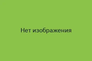 Фикус дельтовидный