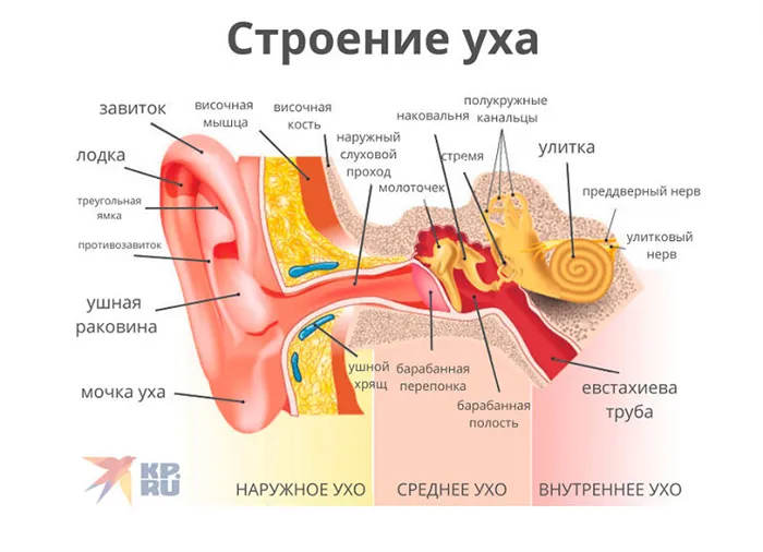 Причины шума в ушах у женщин и мужчин