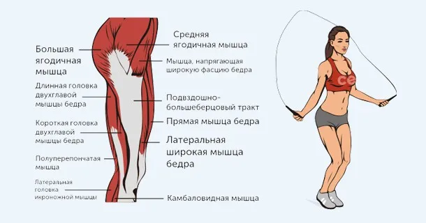 какие мышцы работают (скакалка)