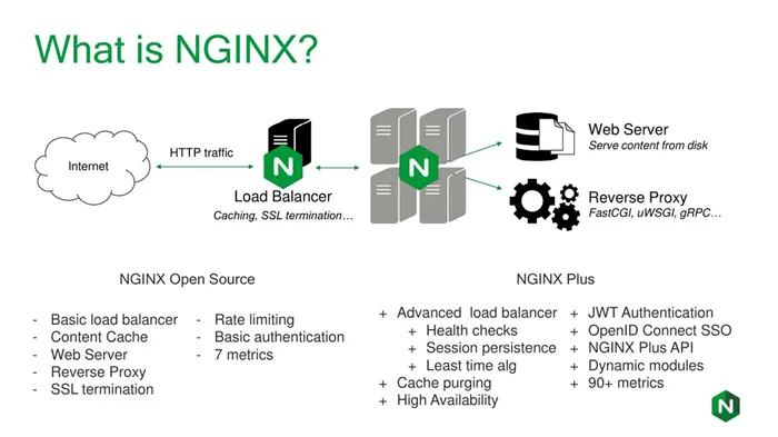 Графен, nginx и решение задачи тысячелетия: главные российские изобретения и открытия 21 века