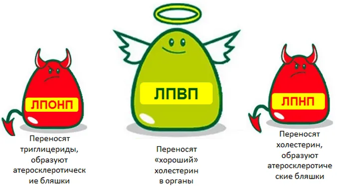 Королева Мария врач.png