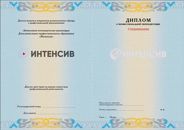 Выдаваемые документы ИНТЕНСИВ