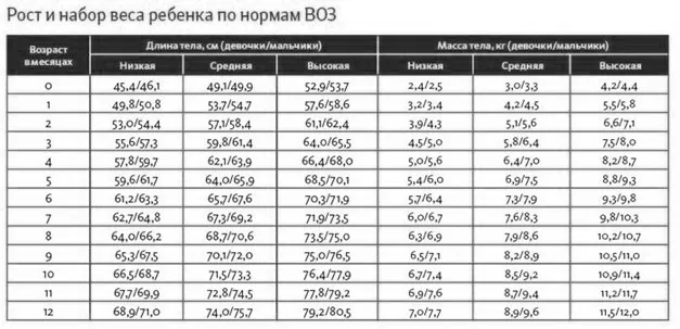 Рост и набор веса ребенка по нормам ВОЗ