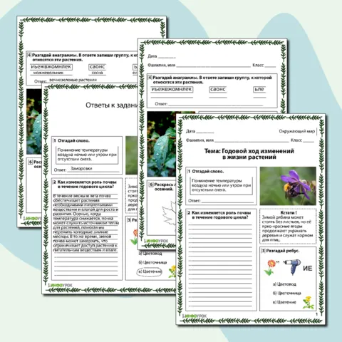 Рабочий лист по окружающему миру Годовой ход изменений в жизни растений