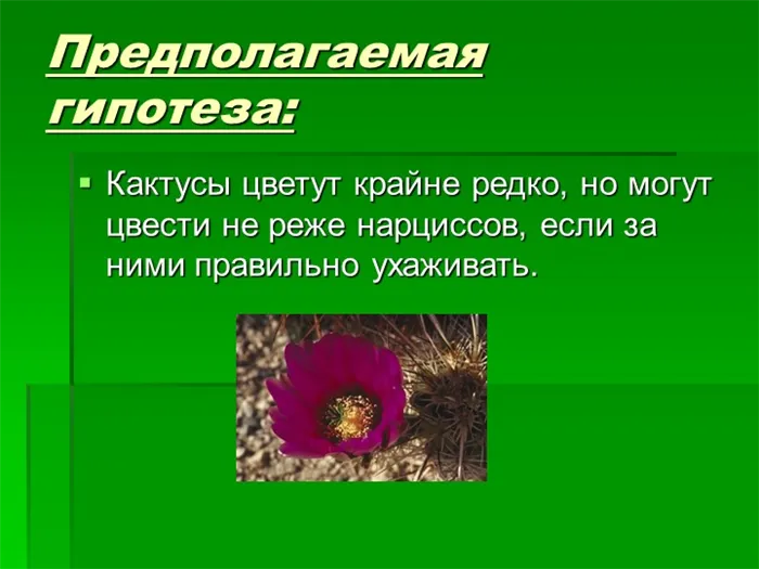 Предполагаемая гипотеза: Кактусы цветут крайне редко, но могут цвести не реже.