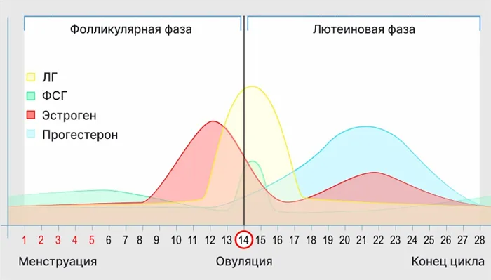 сарклиник консультация