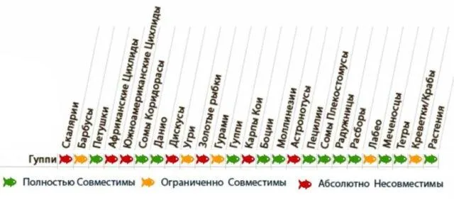 Таблица совместимости гуппи