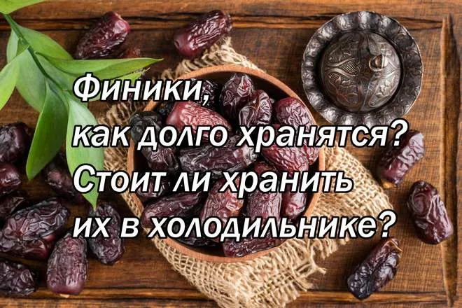 Финики, как долго хранятся? Стоит ли хранить их в холодильнике?