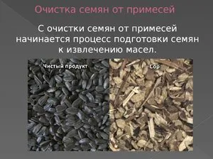 Как на производстве очистить семена