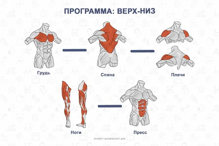 Программа тренировок Верх-Низ