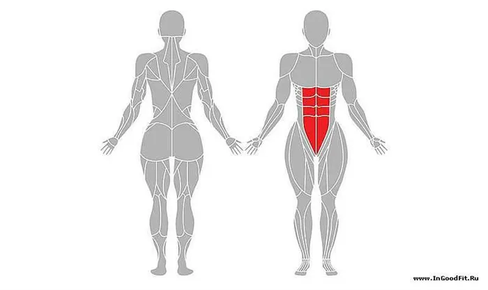 сколько кубиков на прессе мужчины
