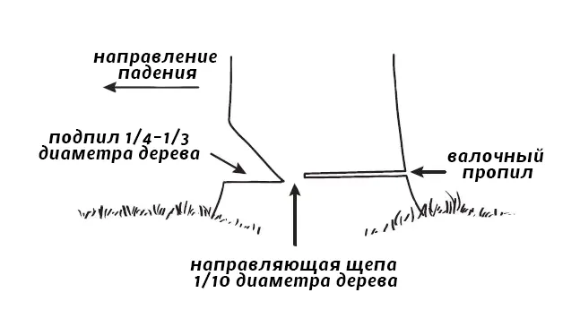 Схема валки дерева