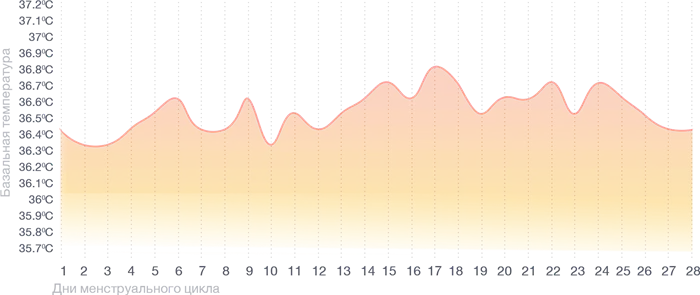 Базальная температура во время беременности