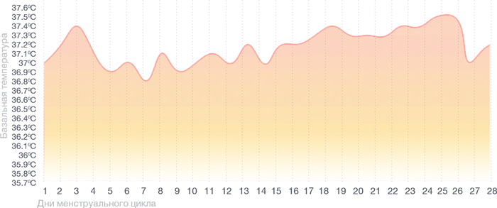 Базальная температура во время беременности